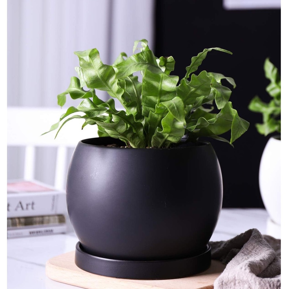Modern Matte Black Planter Pot 5”- 6”. NEW
